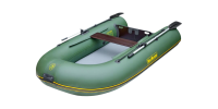 Лодка BoatMaster 250ТА