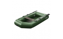 Лодка Феникс 250