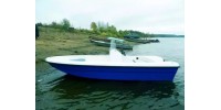 Wyatboat 430 C