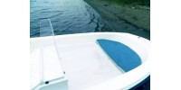 Wyatboat 430 C
